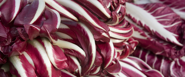 Radicchio Rosso di Asigliano