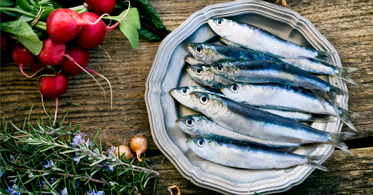 Pesci del Mediterraneo: le specie dei mari italiani