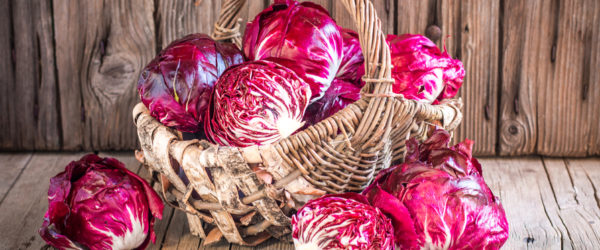 proprietà del radicchio