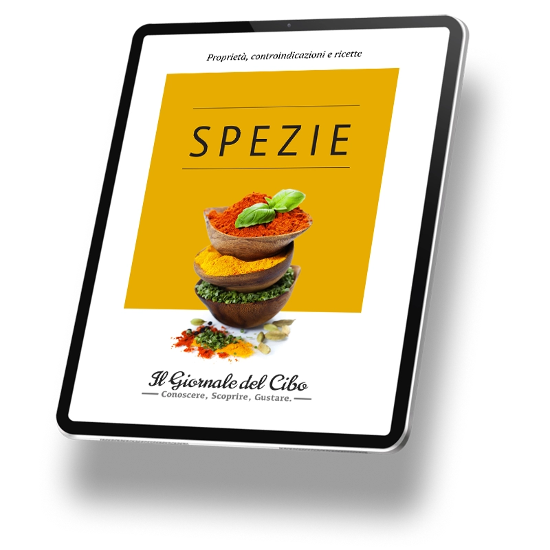 Copertina dell'ebook "Proprietà, controindicazioni e ricette con le spezie"