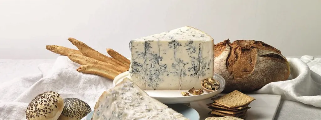 sagra gorgonzola