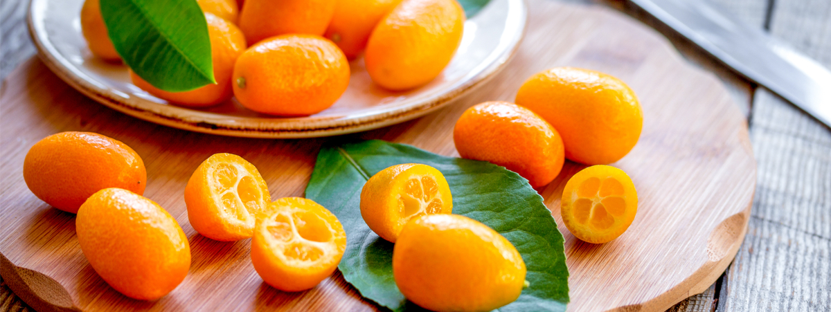 Mandarino Cinese Le Propriet I Benefici E Gli Utilizzi Del Kumquat