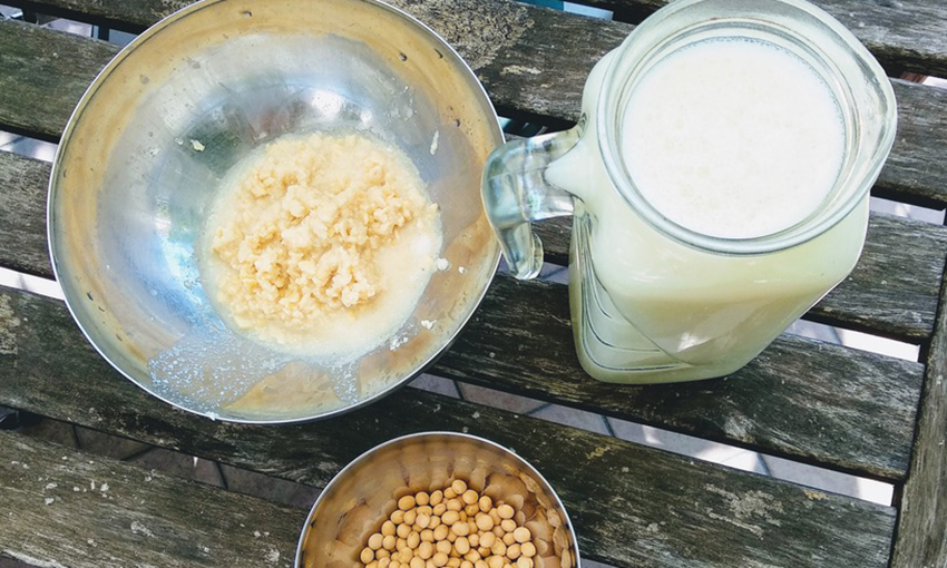 Macchina per latte vegetale: cos'è, come funziona e come sceglierla