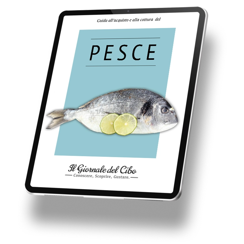 Copertina dell'ebook "Guida all'acquisto e alla cottura del pesce"