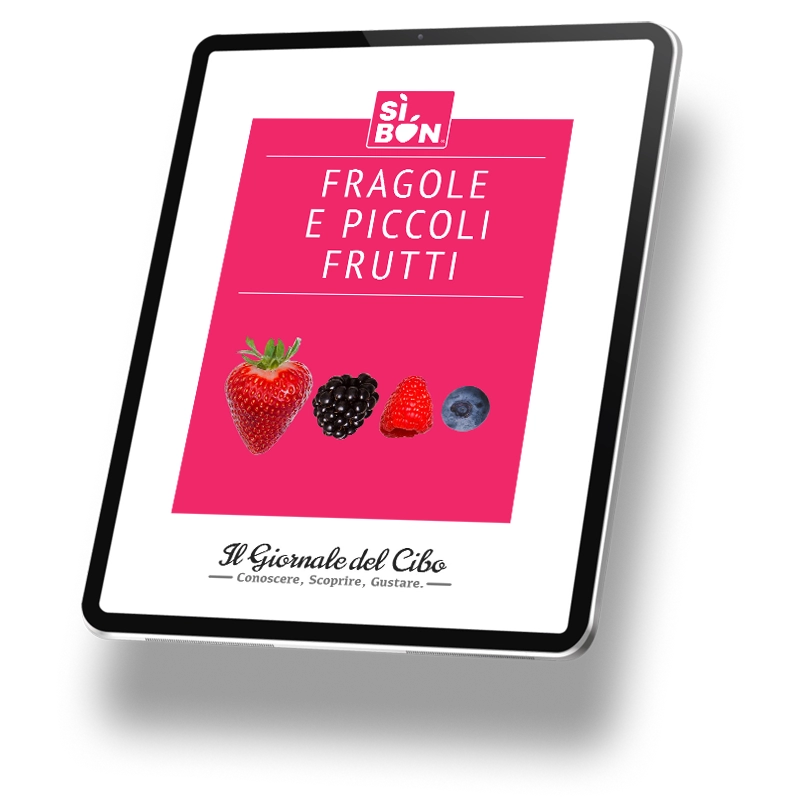 Copertina dell'ebook "fragole e piccoli frutti"