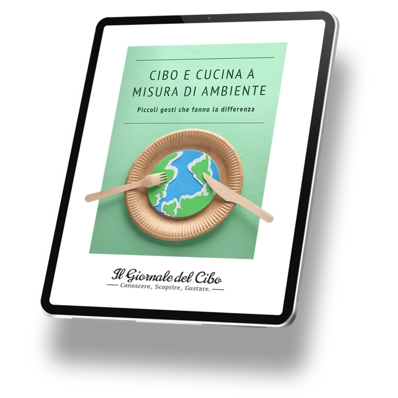 Copertina dell'ebook "Cibo e cucina a misura d'ambiente"