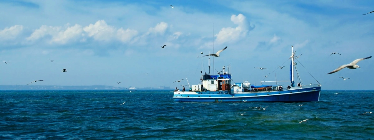 Barca di pescatori