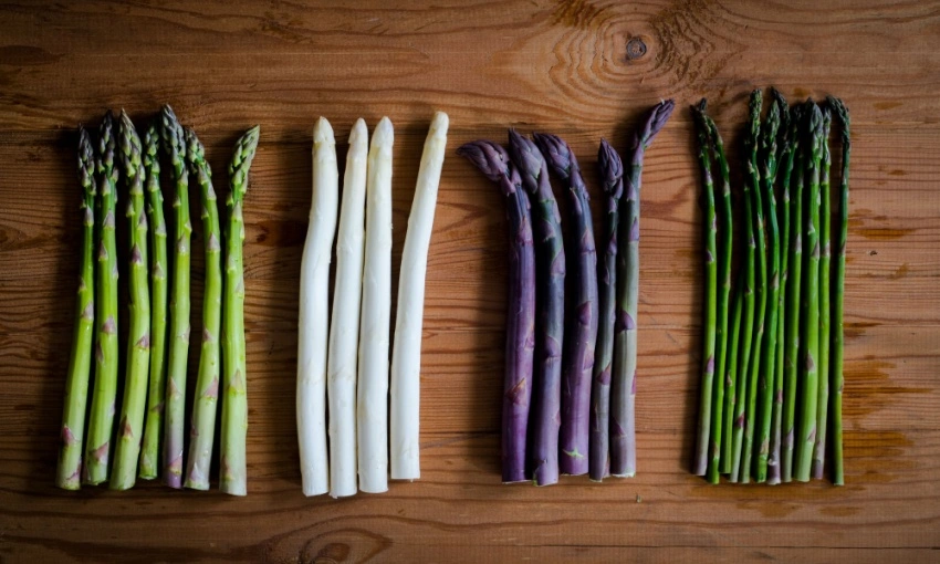 Varietà di asparagi, bianchi, selvatici, viola, classici