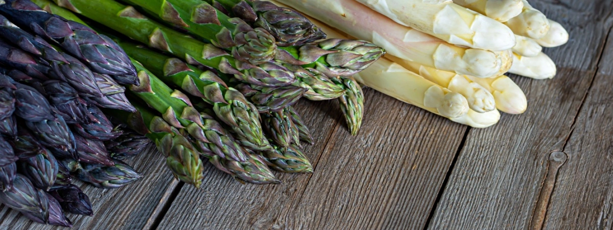 Varietà di asparagi