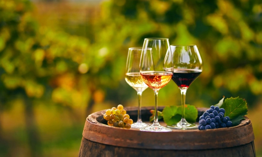 Calici di vino con varietà differenti di vino