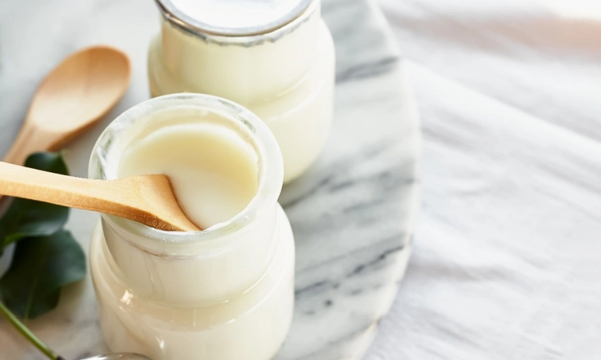 Vasetti di conservazione degli yogurt fatti in casa