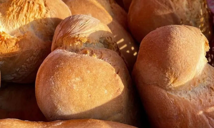 Pane di Maiolo