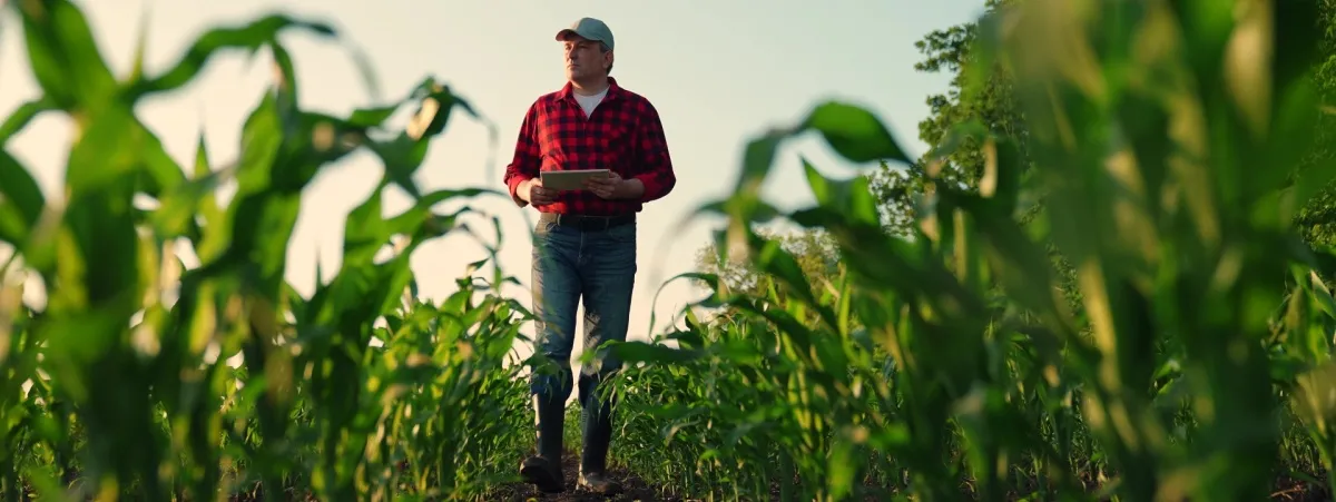 Agricoltore in un terreno con tablet