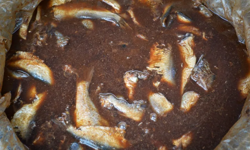 fermentazione del pesce, per ottenere il garum