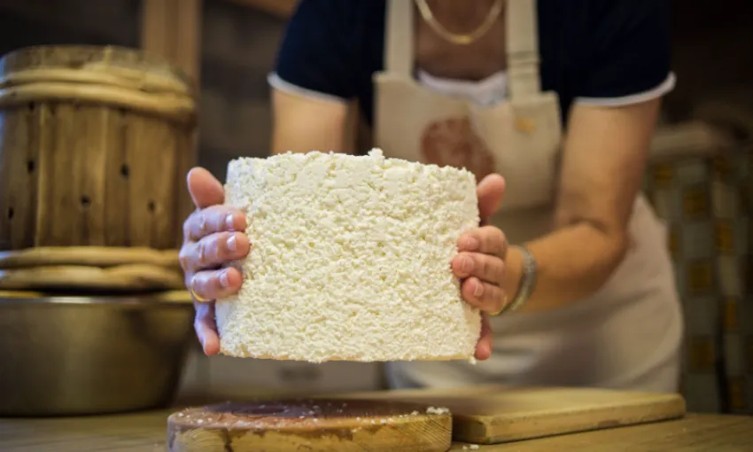 Forma di Graukase tagliata a metà