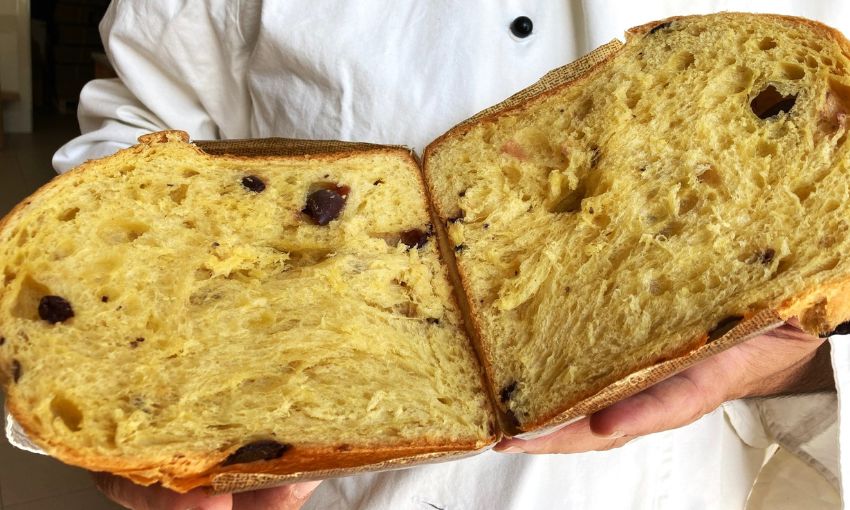 panettone di ciaccio