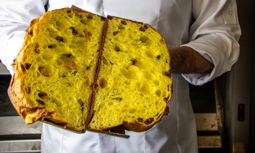 panettone