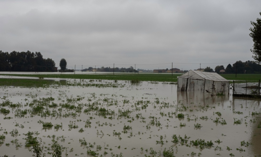 campo alluvionato