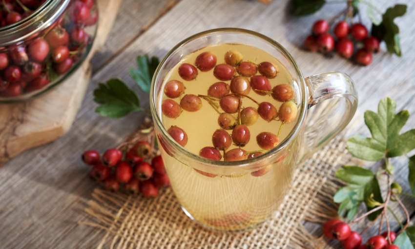 bacche di biancospino in infusione