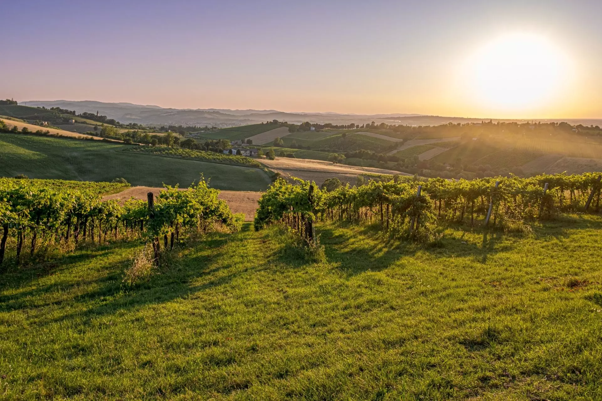 colline romagnole