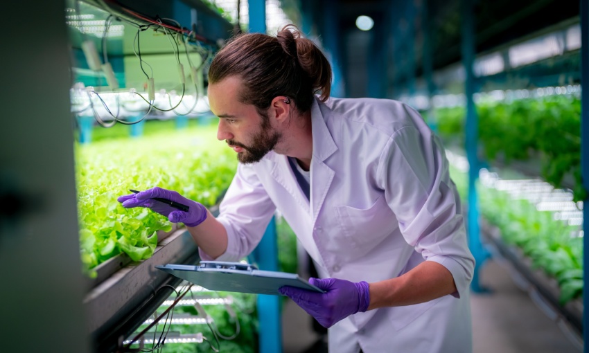 Uomo che controlla dati riguardo la vertical farming