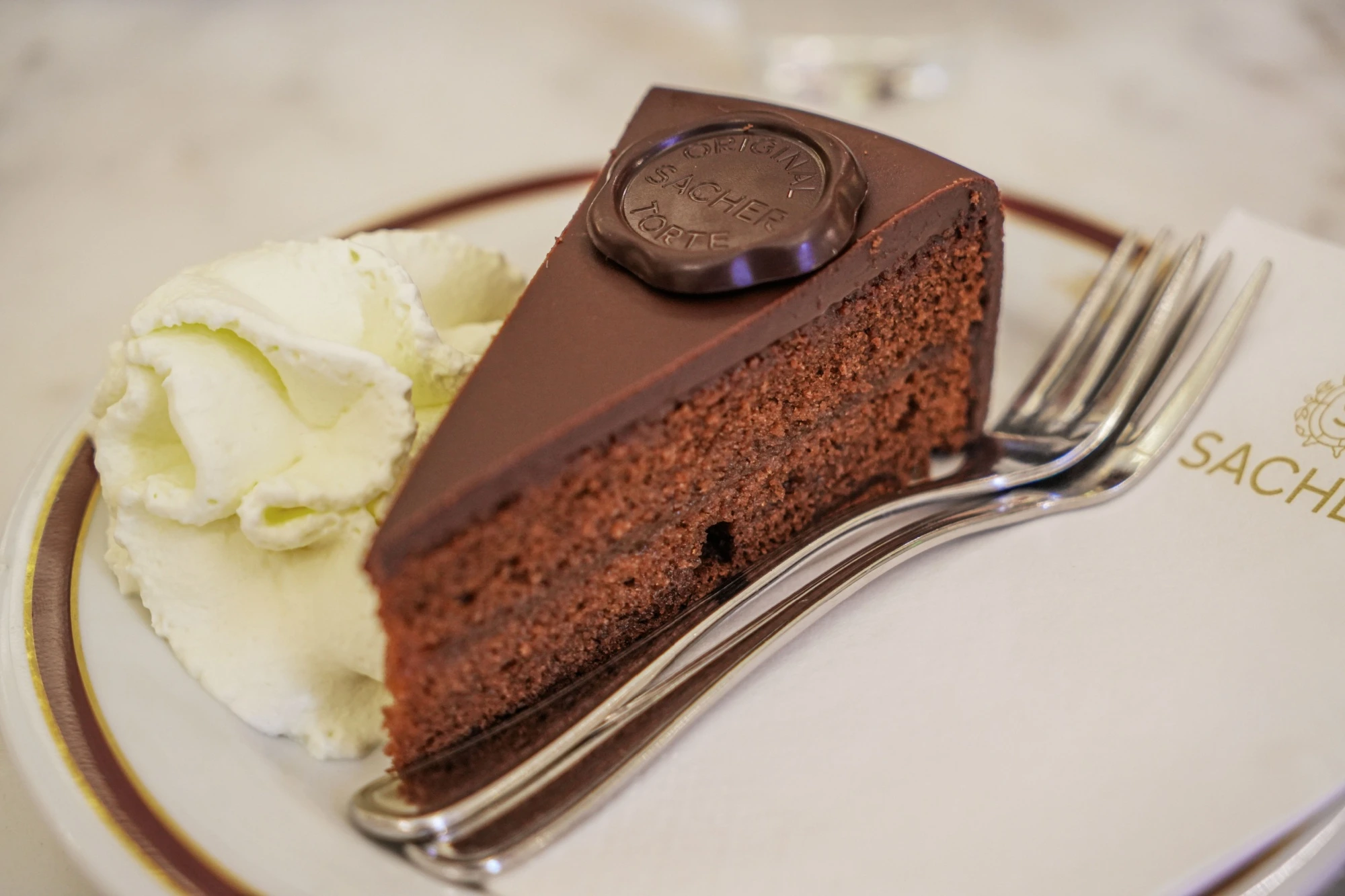 Fetta di torta sacher su un piattino bianco accompagnata da panna montata