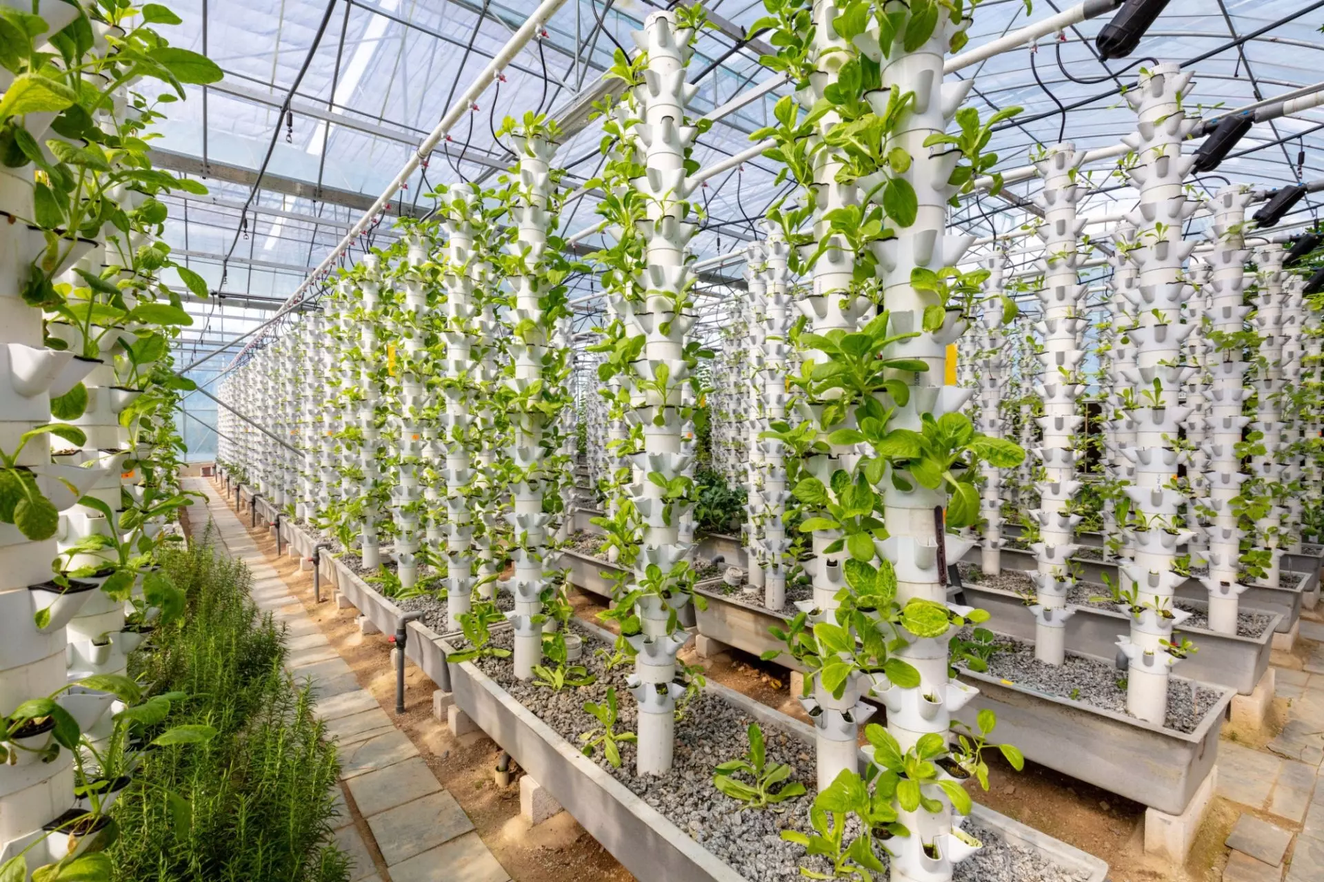 Vertical farming