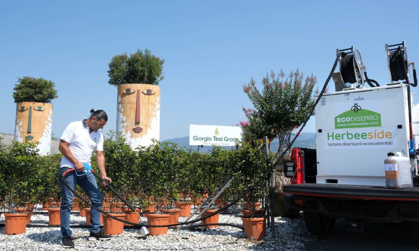  la macchina Herbeeside in azione in un vivaio Tesi