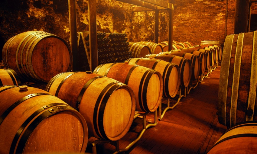 Botti di vino nella cantina della tenuta