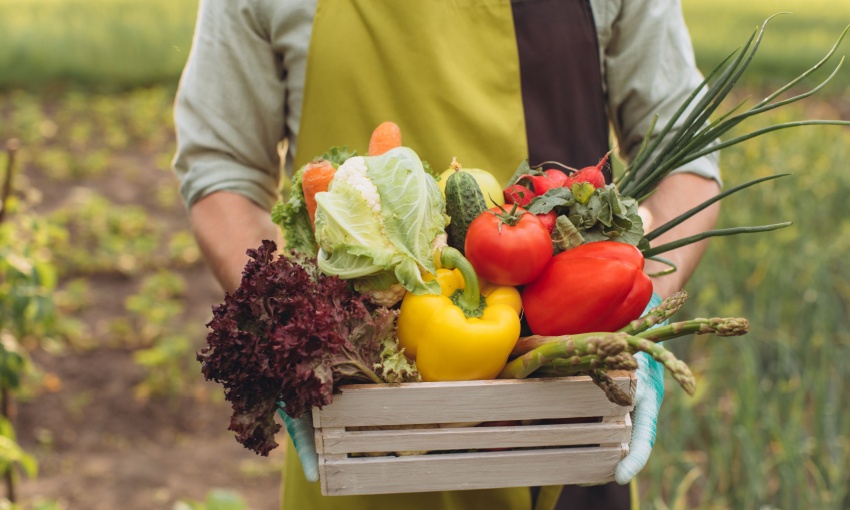 Uomo che tiene in mano una cassa di verdure bio