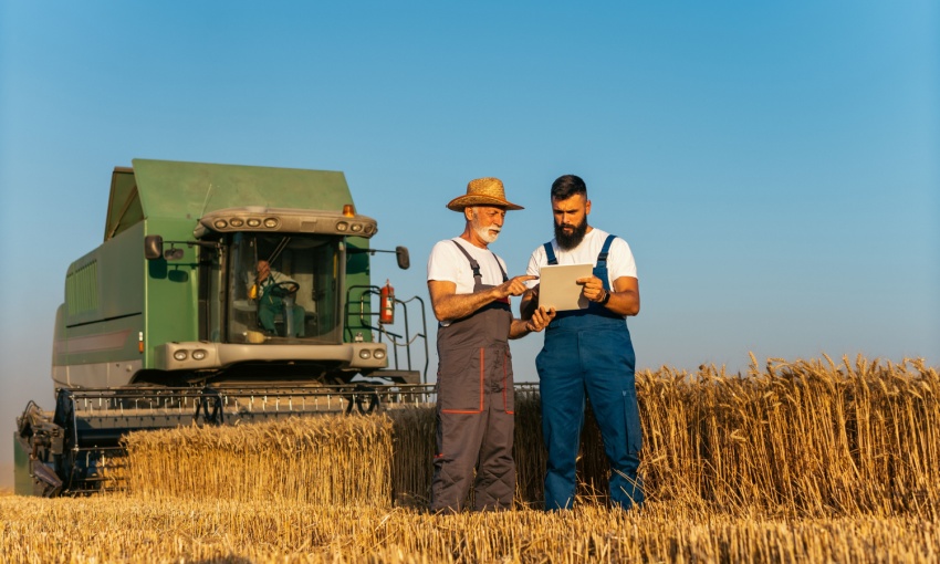 uomini che parlano tra di loro in un campo di grano