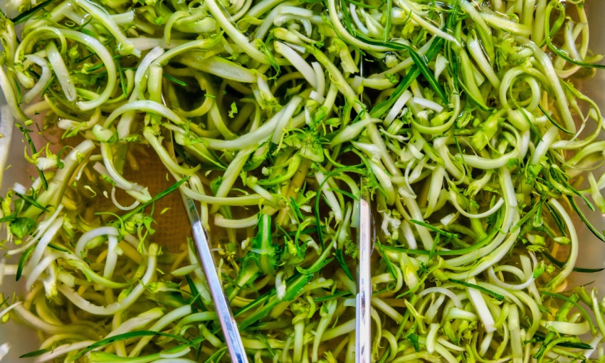 Puntarelle pulite e lavate