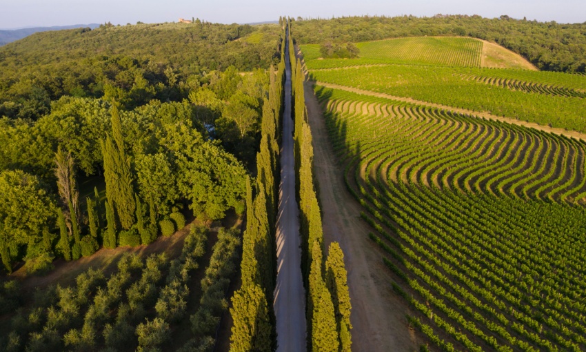 Veduta della Tenuta di Arceno