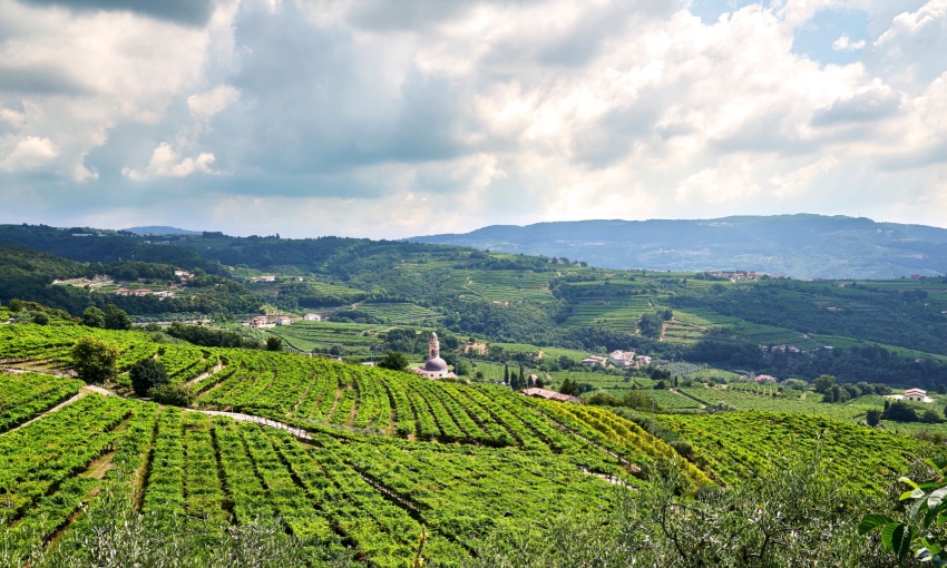 Valpolicella